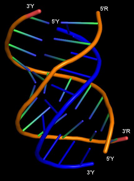 RNA Triple Helix - https://www.rcsb.org/structure/6svs