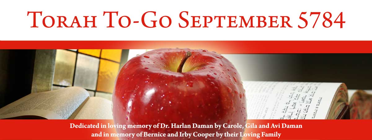 togo banner