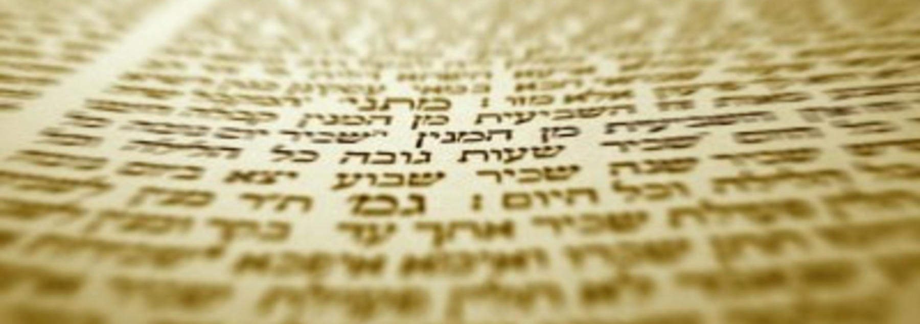 Torah text