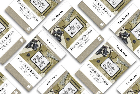 Collage of Places in the Parsha book cover