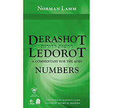 Cover of "Derashot Ledorot Numbers"