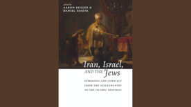 Cover of Iran, Israel, and the Jews against a brown background