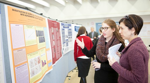 Celebrating Student Research, cross-dscipline