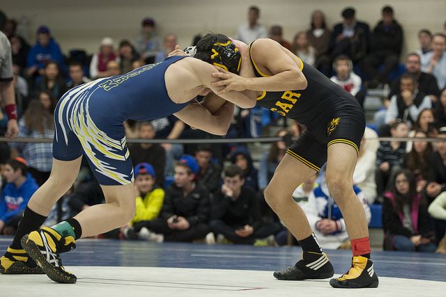 12613773764_c35de27f1c_z