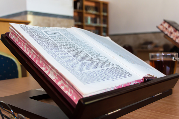 Torah study, stender Beit Midrash in hebrew