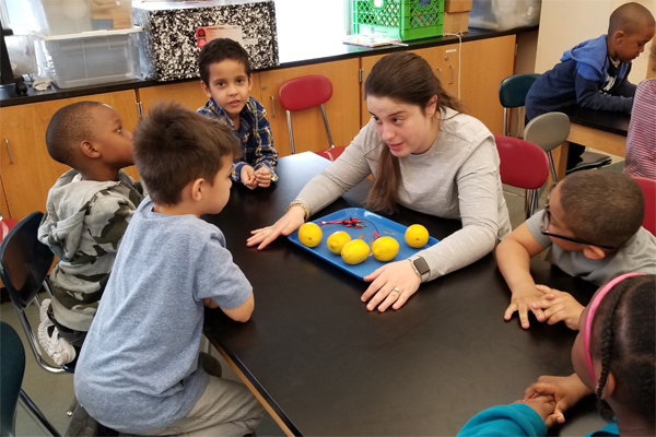 Teacher and student discuss how five lemons on the table in front of them can become a battery.