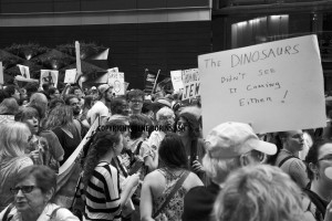 Copyright Irene Borins Ash